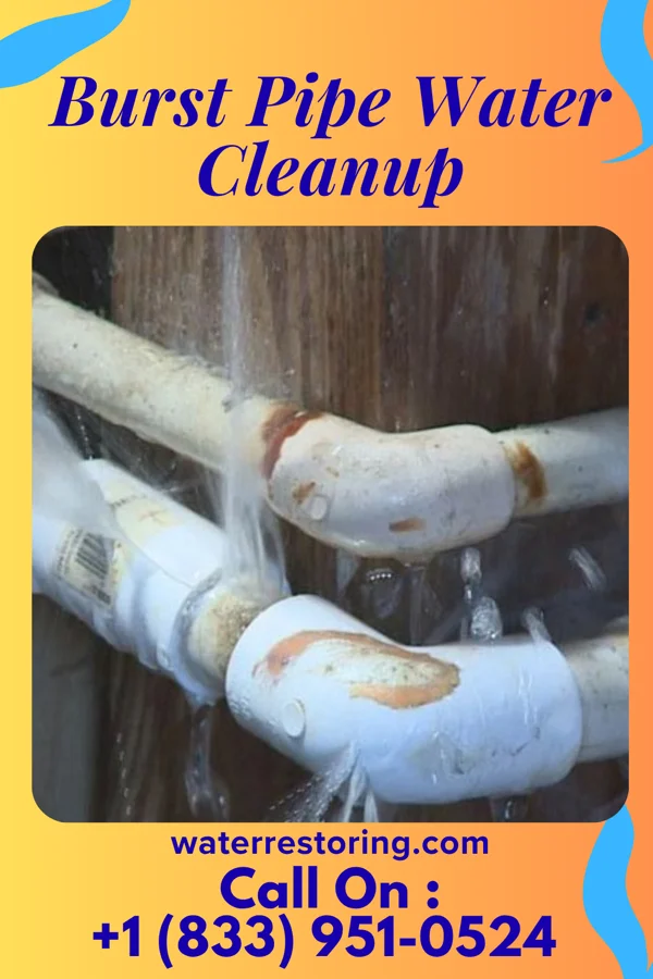 Burst Pipe Water Cleanup in Buckhannon, WV