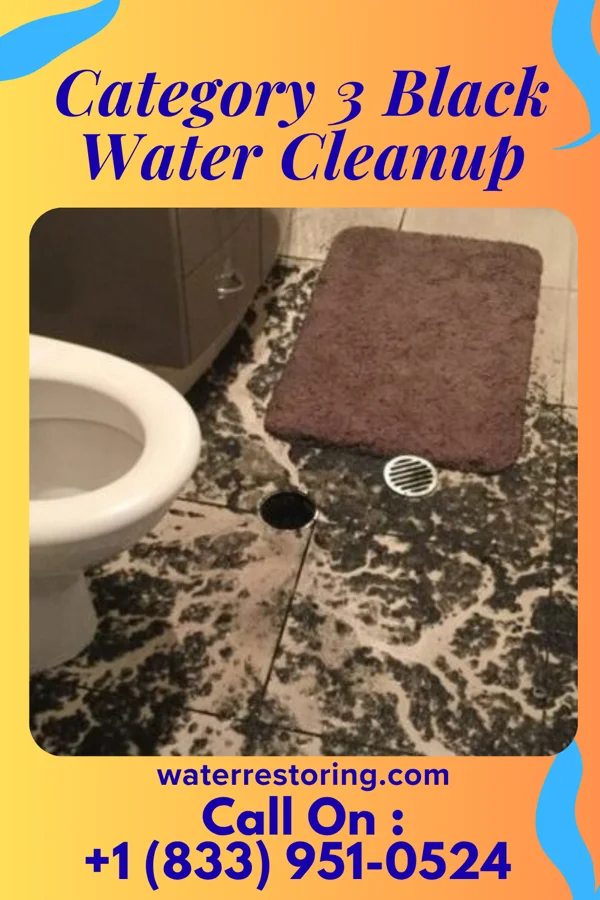 Category 3 Black Water Cleanup in Buckhannon, WV