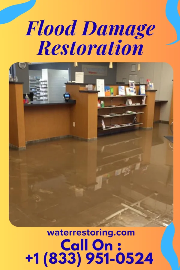 Flood Damage Restoration in Buckhannon, WV