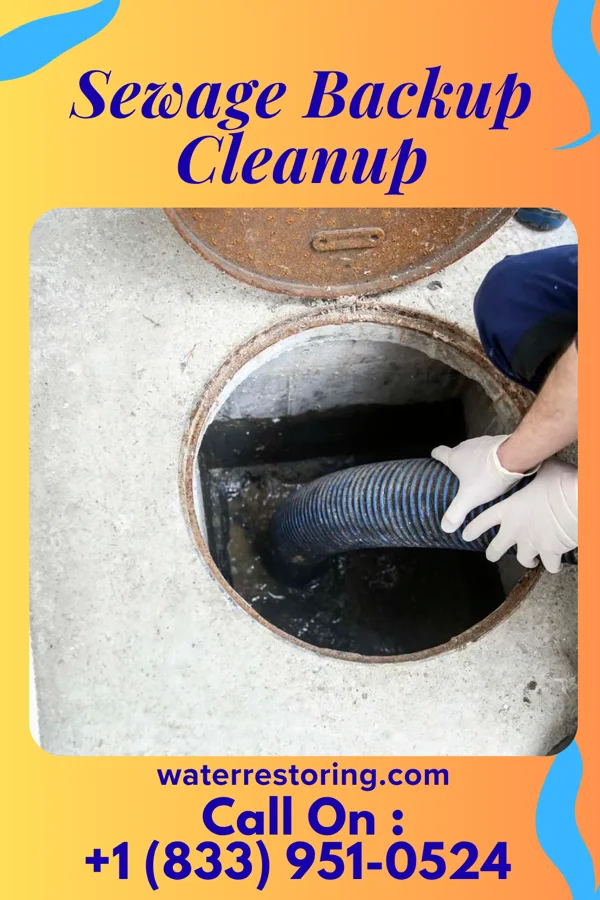 Sewage Backup Cleanup in Buckhannon, WV