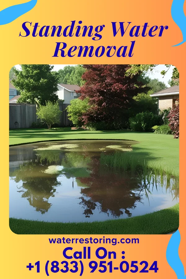Standing Water Removal in Buckhannon, WV
